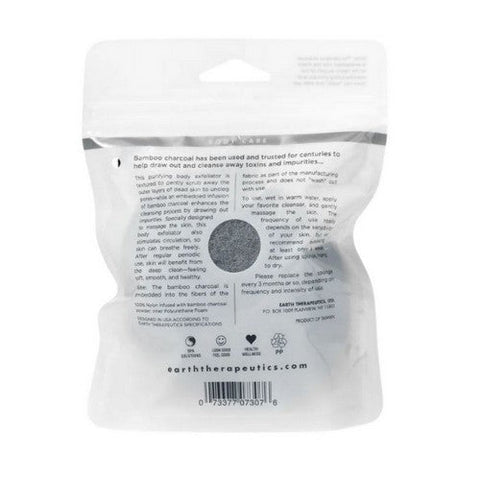 Earth Therapeutics, Pure FX Purifying Body Exfoliator with Sponge, 1 Each