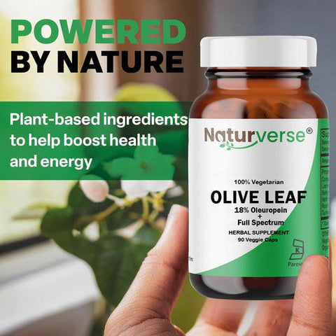 Naturverse, Olive Leaf Powder Capsules Standardized, 90 VegCaps Naturverse