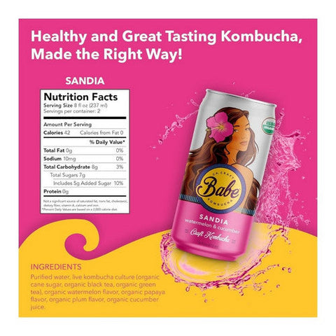 Babe Kombucha, Organic Sandia Watermelon Cucumber Flavor Can, 16 Oz (Case Of 12)