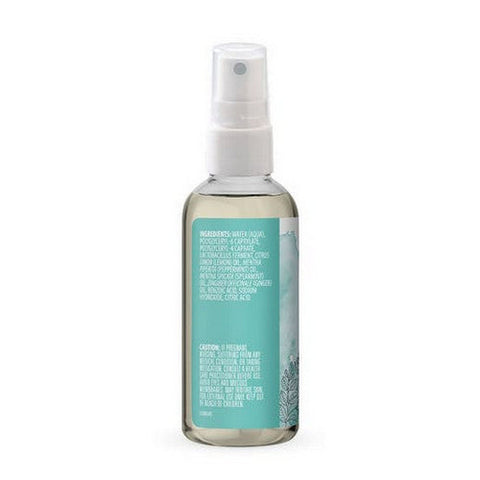 Aura Cacia, Aromatherapy Mist, Ginger/Mint 4 oz